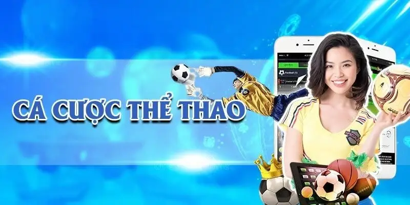 Chiến thuật cá cược hiệu quả cho người mới