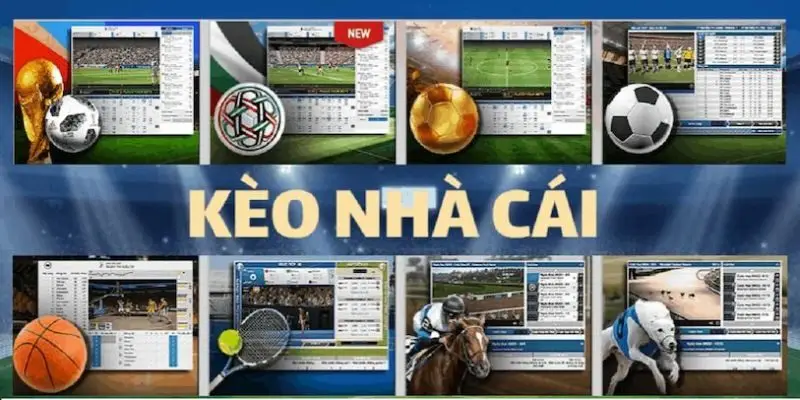 Mẹo làm chủ tỷ lệ kèo nhà cái 77BET